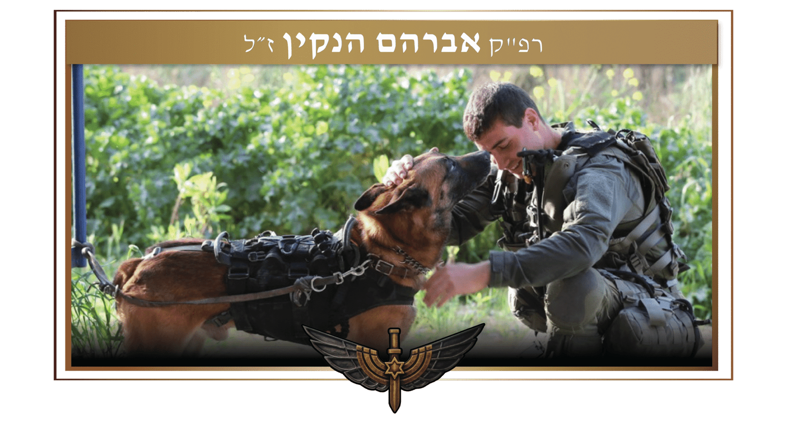 אברהם הנקין
