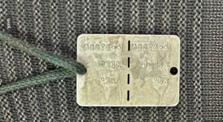 דיסקית