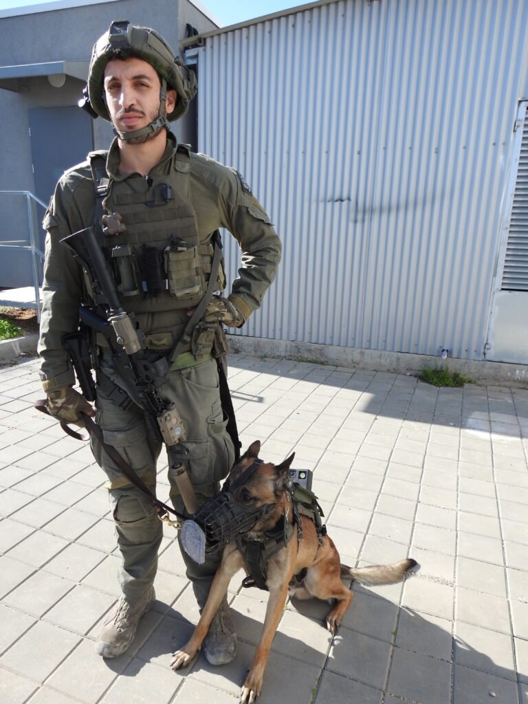 ימ״מ 20